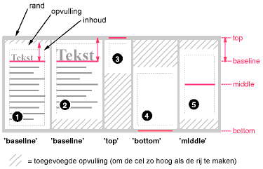 Example of vertically
aligning the cells